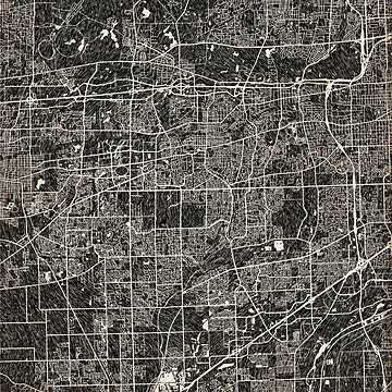 Imagen de la obra Naperville map Illinois Ink lines 2 de InkMaps