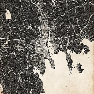 Imagen de la obra New Bedford map Massachusetts Ink lines 2 de InkMaps
