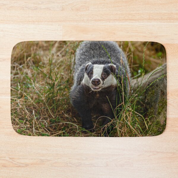 Item preview, Foraging Badger looking at the viewer designed and sold by Dalyndigital Photography.