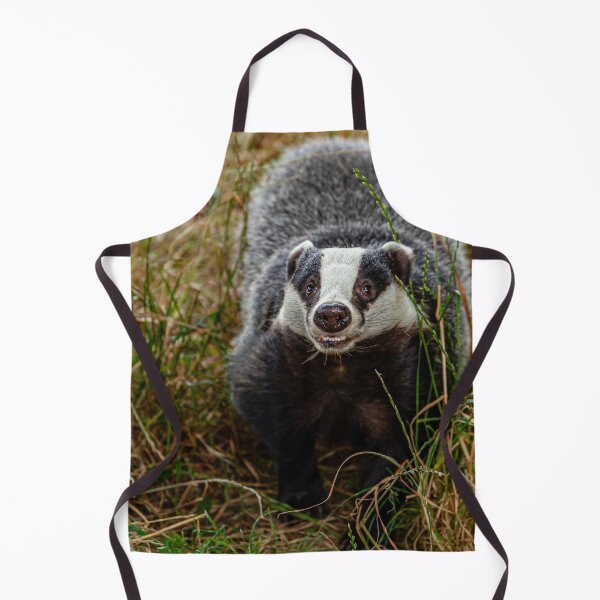 Item preview, Foraging Badger looking at the viewer designed and sold by Dalyndigital Photography.
