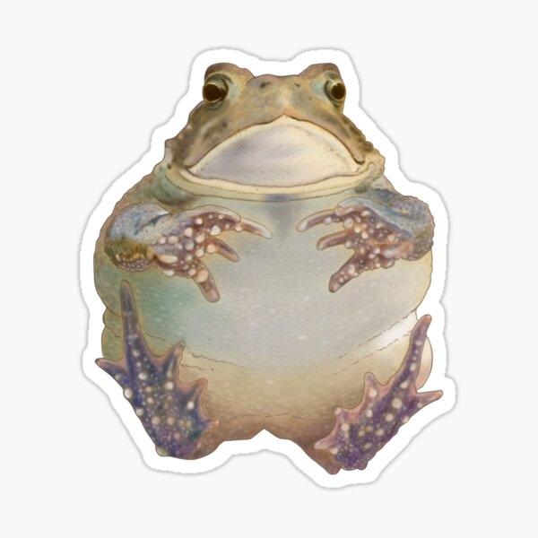Flying Toad Pegatina