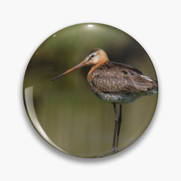 Item preview, Black tailed godwit designed and sold by Anita van Gendt.