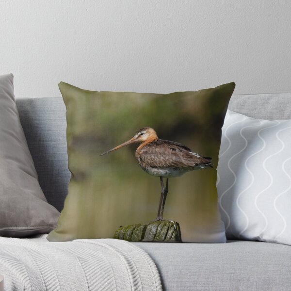 Item preview, Black tailed godwit designed and sold by Anita van Gendt.