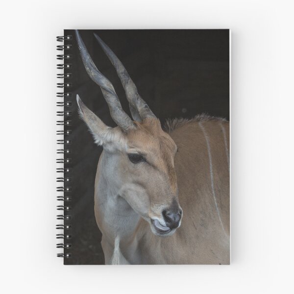Artikelvorschau, Eland entworfen und verkauft von Conservation Art Emporium.