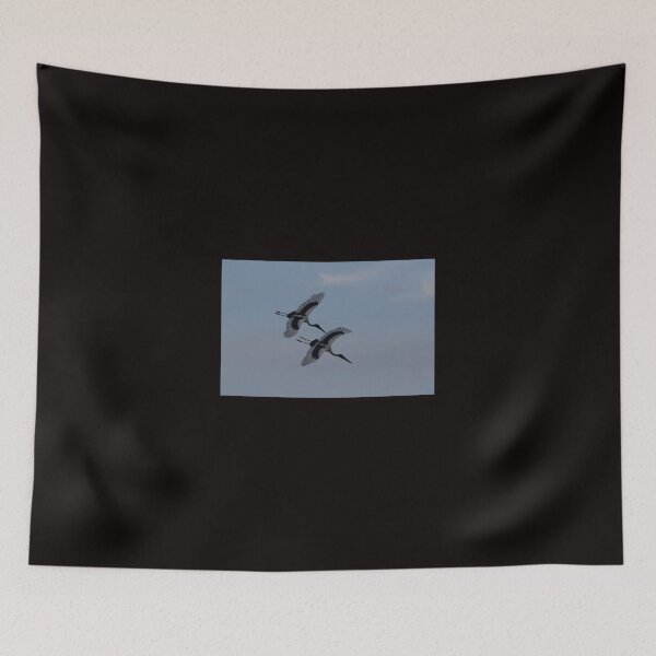 Item preview, Sunset Jabiru designed and sold by byronbackyard.