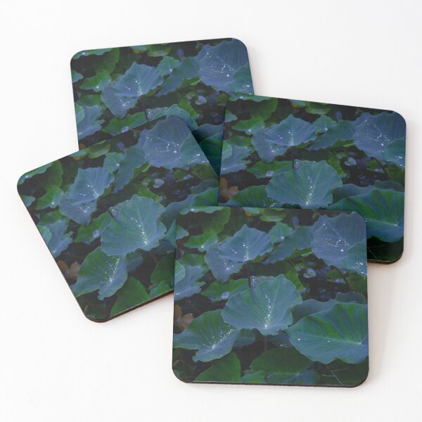 Item preview, Fresh water drops on a colocasia leaf  designed and sold by miljuvarghese.