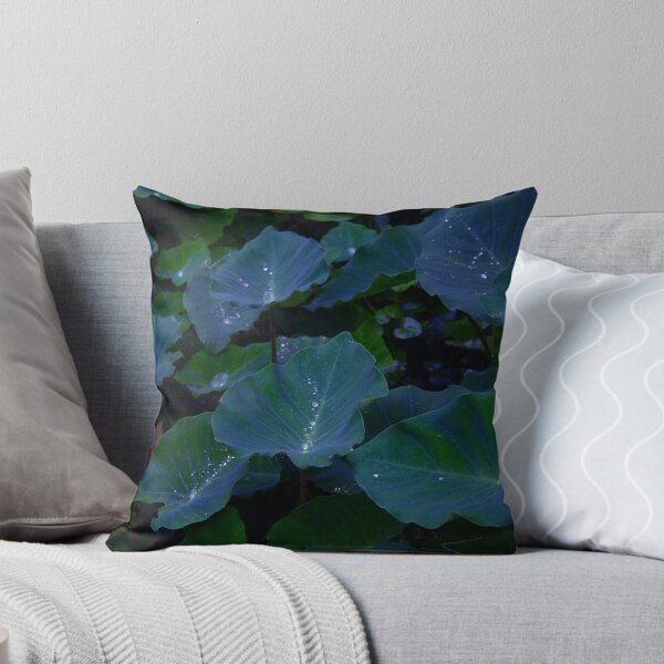 Item preview, Fresh water drops on a colocasia leaf  designed and sold by miljuvarghese.