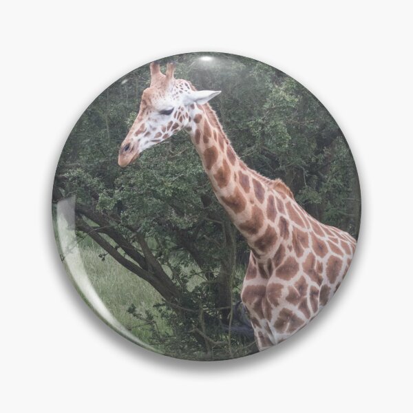 Item preview, Young Giraffe designed and sold by Conservation Art Emporium.