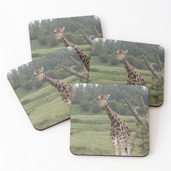 Item preview, Young Giraffe designed and sold by Conservation Art Emporium.