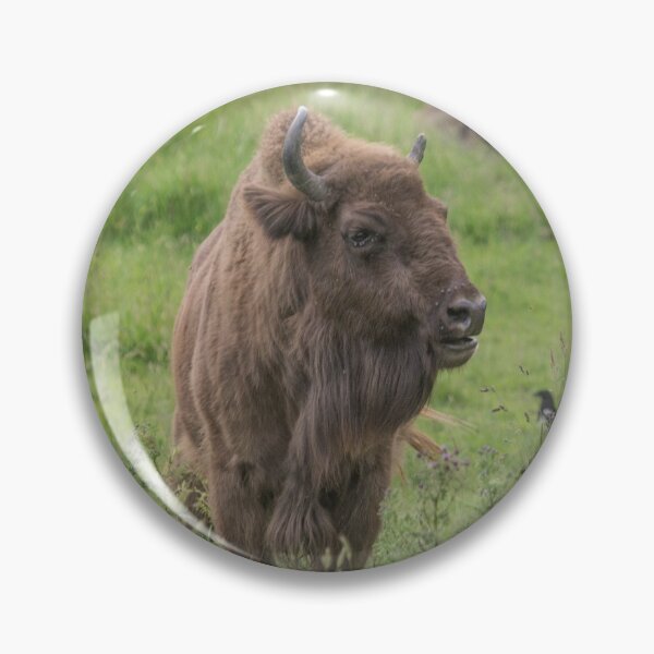 Item preview, European Bison designed and sold by Conservation Art Emporium.