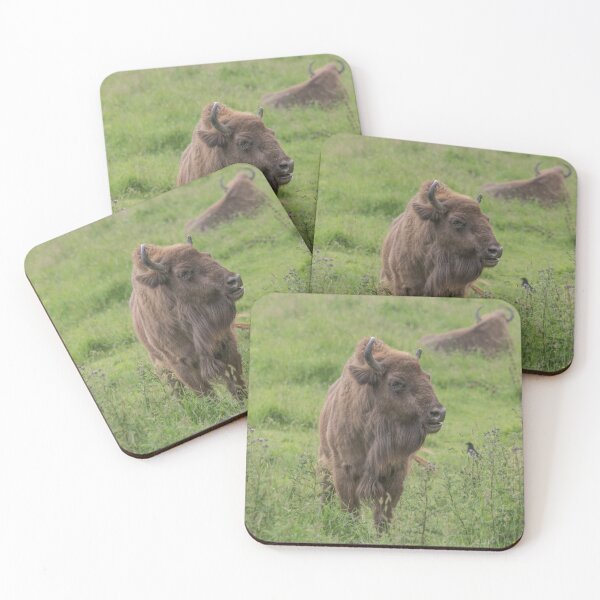 Item preview, European Bison designed and sold by Conservation Art Emporium.
