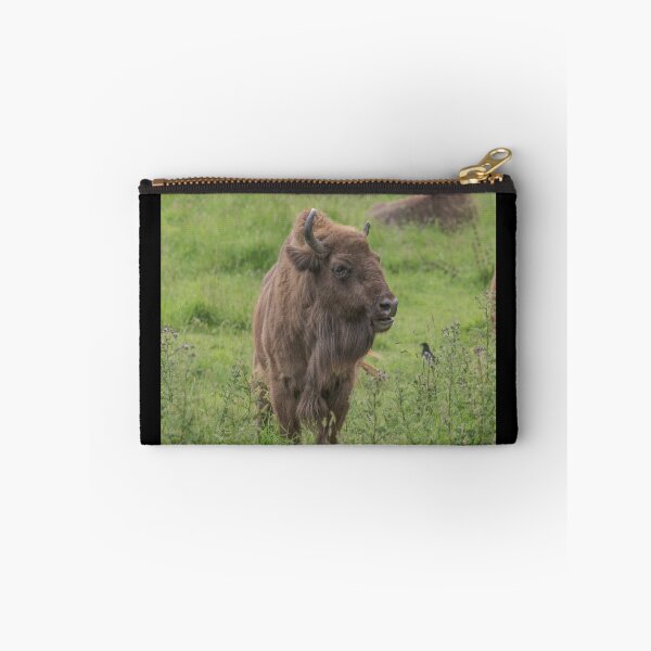 Item preview, European Bison designed and sold by Conservation Art Emporium.