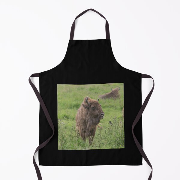 Item preview, European Bison designed and sold by Conservation Art Emporium.