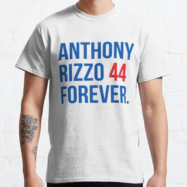 MLB Nike Chicago Cubs #44 Anthony Rizzo Gray Name & Number T-Shirt