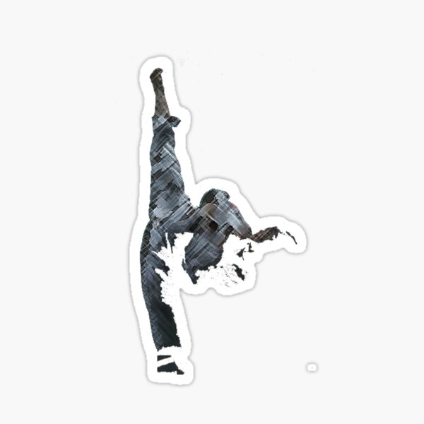 Taekwondo Pegatina