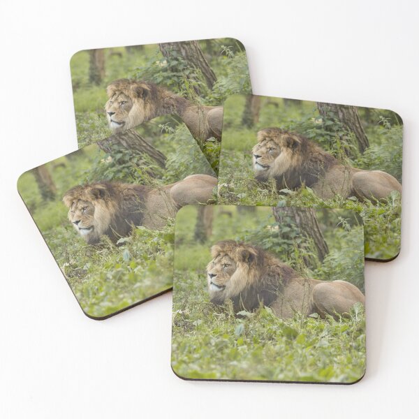 Item preview, Lion designed and sold by Conservation Art Emporium.