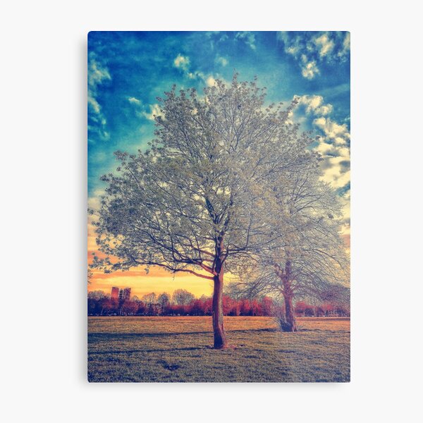 tree Metal Print