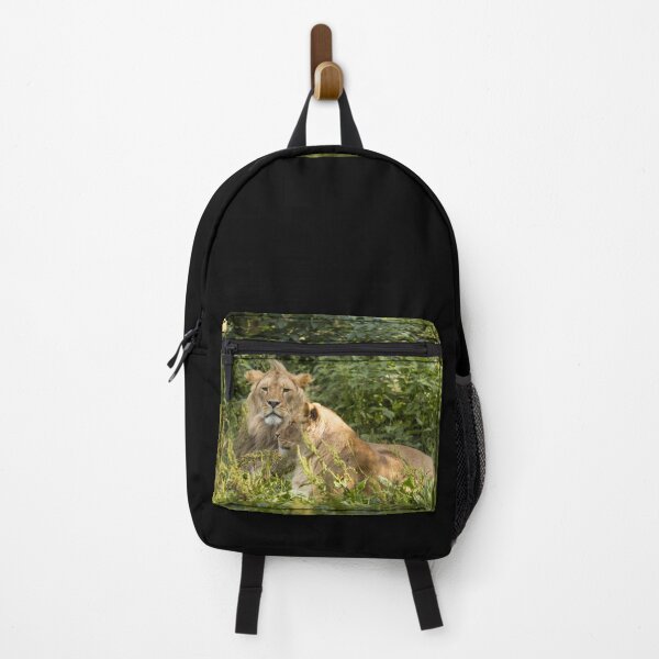 Item preview, Young male lion & lioness designed and sold by Conservation Art Emporium.