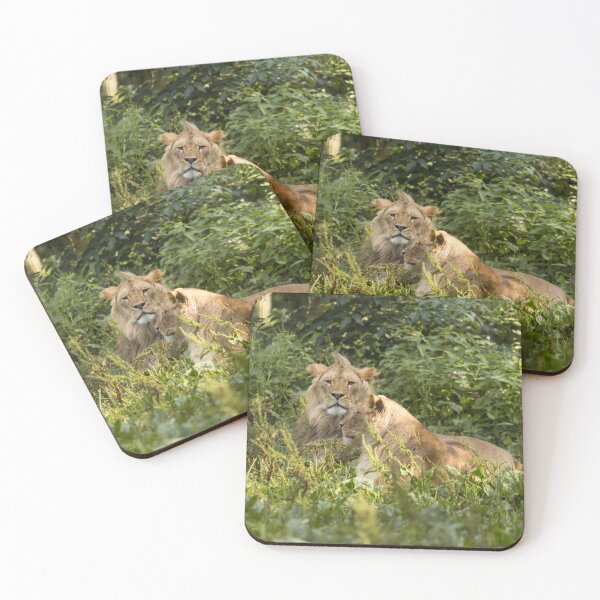 Item preview, Young male lion & lioness designed and sold by Conservation Art Emporium.