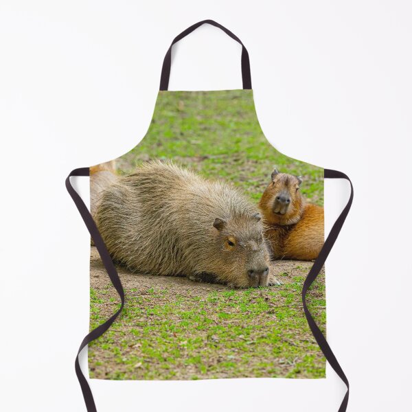 Item preview, Capy and the kids sunbathing designed and sold by Dalyndigital Photography.