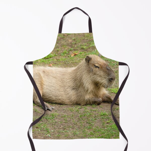 Item preview, Just Chilled Capy designed and sold by Dalyndigital Photography.