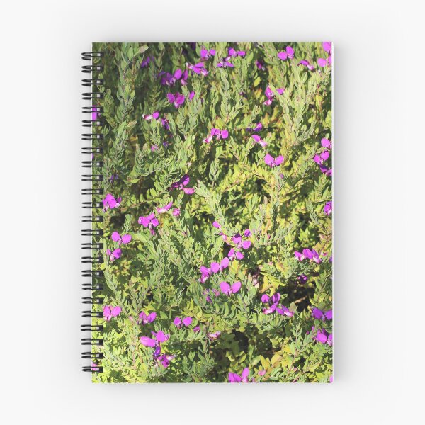 Item preview, Polygala Dazzler in flower, South Australia designed and sold by NanaRusty.