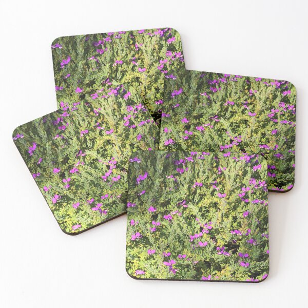 Item preview, Polygala Dazzler in flower, South Australia designed and sold by NanaRusty.