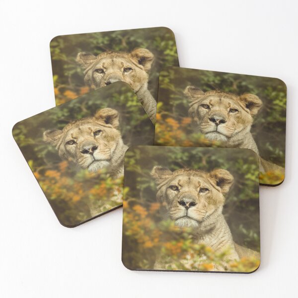 Item preview, Lion designed and sold by Conservation Art Emporium.