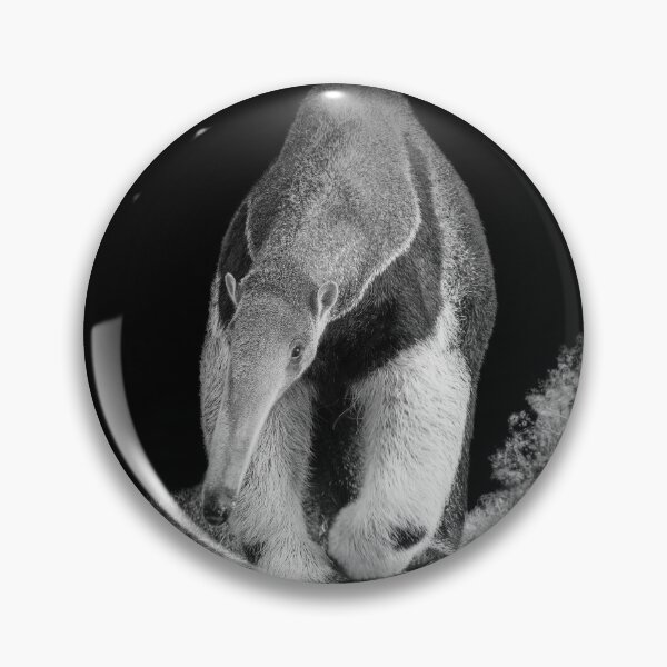 Item preview, Giant Anteater designed and sold by Conservation Art Emporium.