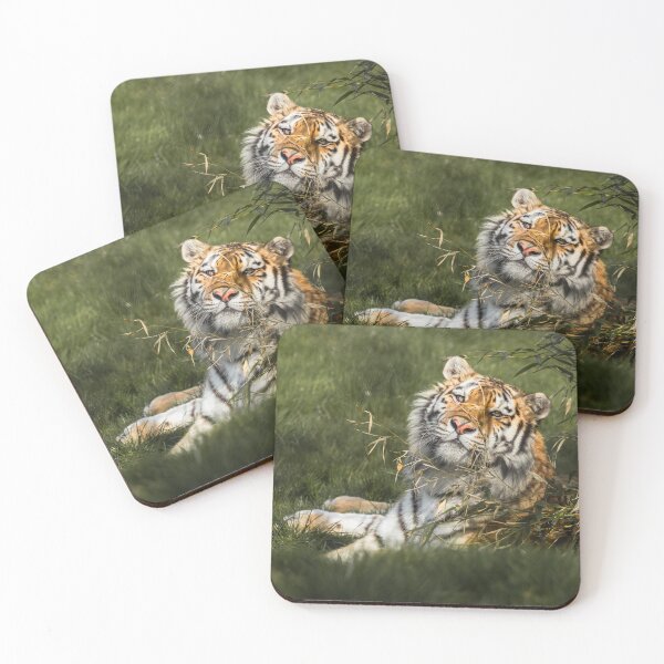 Item preview, Siberian Tiger designed and sold by Conservation Art Emporium.