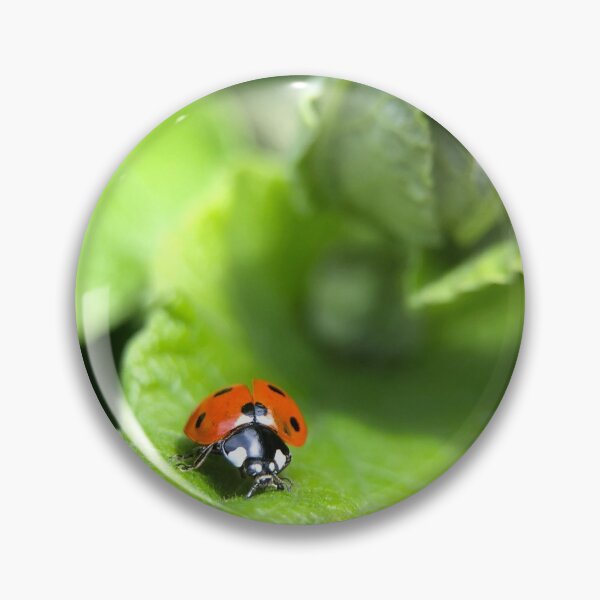 Item preview, Ladybird designed and sold by Barbitastic.