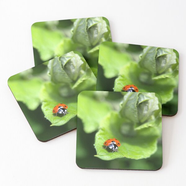 Item preview, Ladybird designed and sold by Barbitastic.