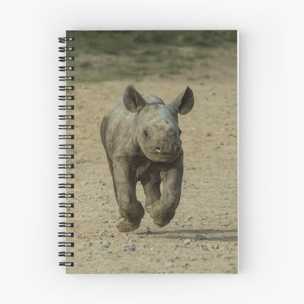Item preview, Ternero de rinoceronte corriendo designed and sold by Conservation Art Emporium.