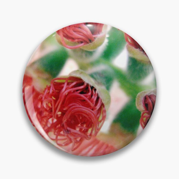 Item preview, bottle brush buds designed and sold by SarahDownunder.