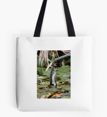 White-naped Honeyeater Tote Bag