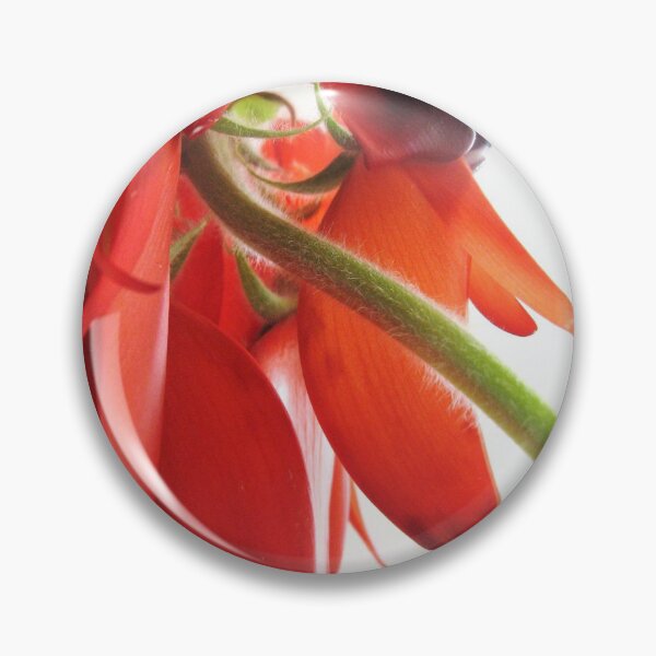 Item preview, Vivid Sturt Pea designed and sold by SarahDownunder.