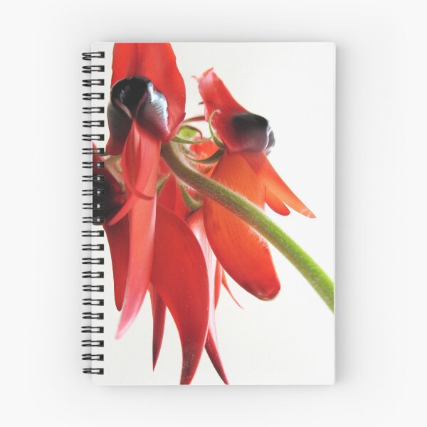 Item preview, Vivid Sturt Pea designed and sold by SarahDownunder.