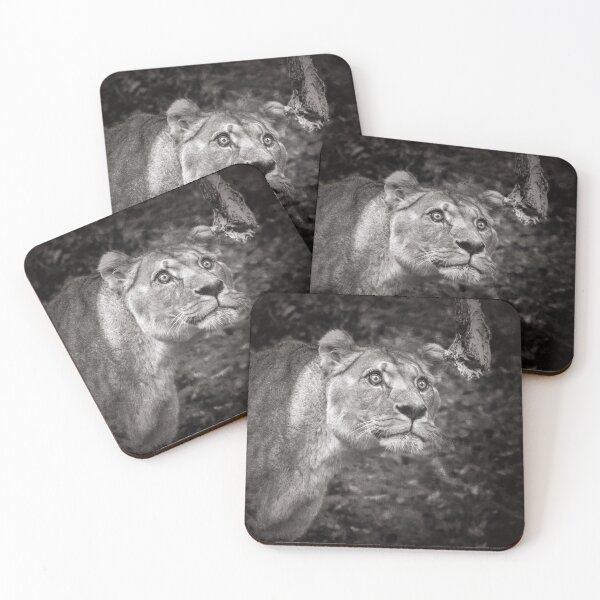Item preview, Lion Black & White designed and sold by Conservation Art Emporium.