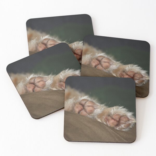 Item preview, Paw Paw designed and sold by chstudios.