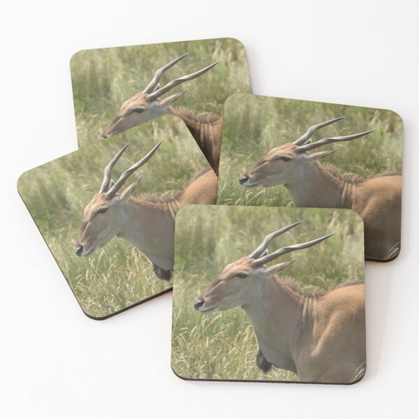 Item preview, Antelope designed and sold by Conservation Art Emporium.