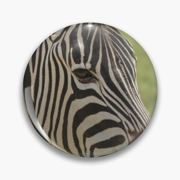 Item preview, Zebra designed and sold by Conservation Art Emporium.