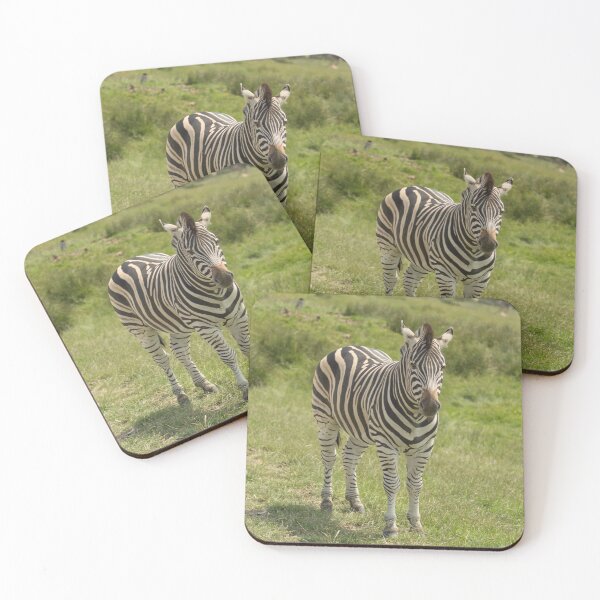 Item preview, Zebra designed and sold by Conservation Art Emporium.