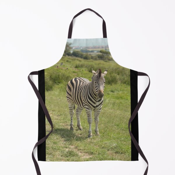 Item preview, Zebra designed and sold by Conservation Art Emporium.