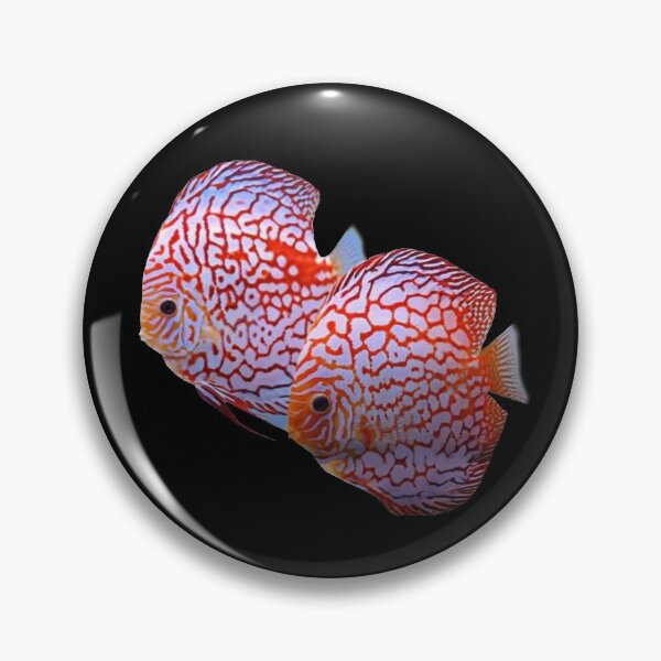 Item preview, CHEQUERBOARD DISCUS FISH - DISCUS FISH designed and sold by Danicus666.