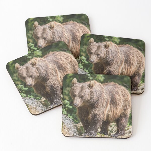 Item preview, Brown Bear designed and sold by Conservation Art Emporium.