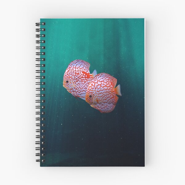 Item preview, CHEQUERBOARD DISCUS FISH - DISCUS FISH designed and sold by Danicus666.