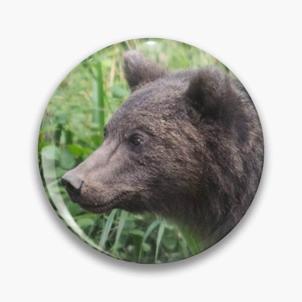 Item preview, Brown Bear designed and sold by Conservation Art Emporium.