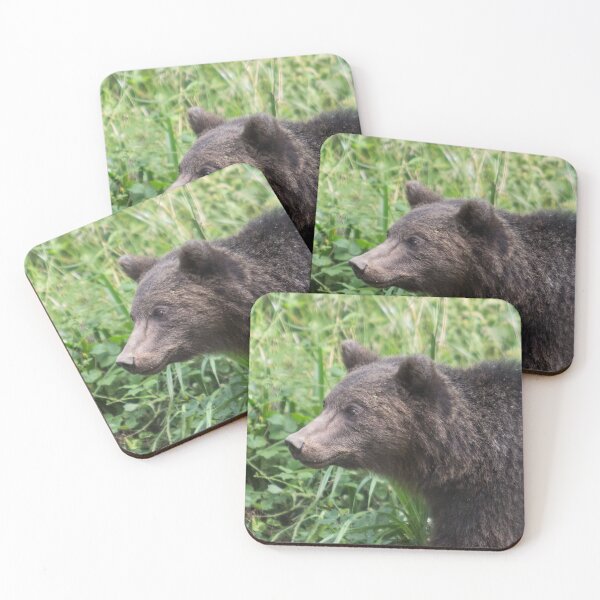 Item preview, Brown Bear designed and sold by Conservation Art Emporium.
