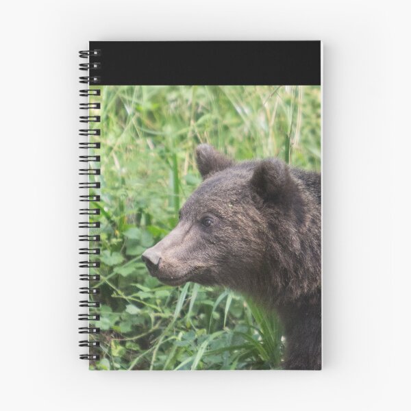 Item preview, Brown Bear designed and sold by Conservation Art Emporium.