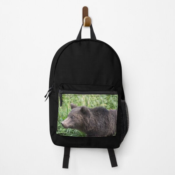 Item preview, Brown Bear designed and sold by Conservation Art Emporium.